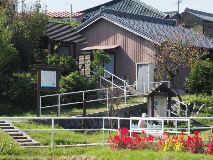 TLoXōsI̒c̋TAȂi