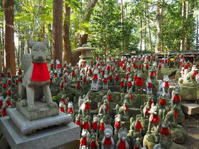 ŉ^CAbvICn̂߃p[X|bg15I̋LTlC