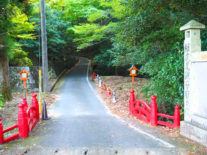 �ؑ]�쉈���`��̊ω����܂�