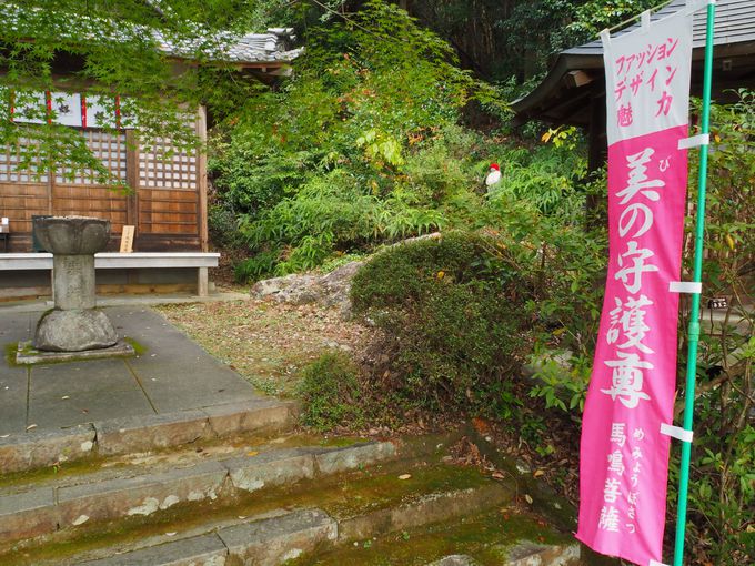 �k���ŏ���Ă����ǂ��낢���ς�