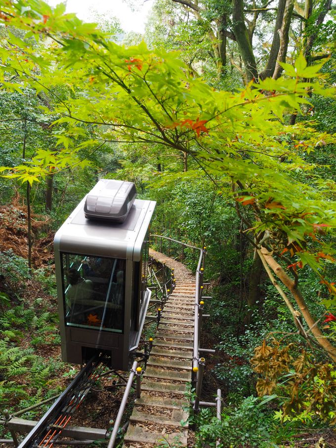 �X���[�v�J�[���g���ĉ��K�ɏ��