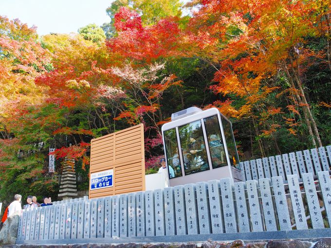 �X���[�v�J�[���g���ĉ��K�ɏ��