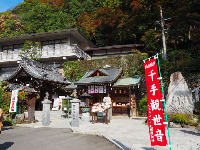 �ؑ]�쉈���`��̊ω����܂�