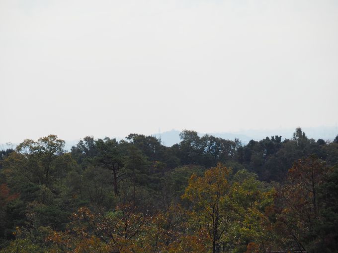 ��i�W�]��ɍs����