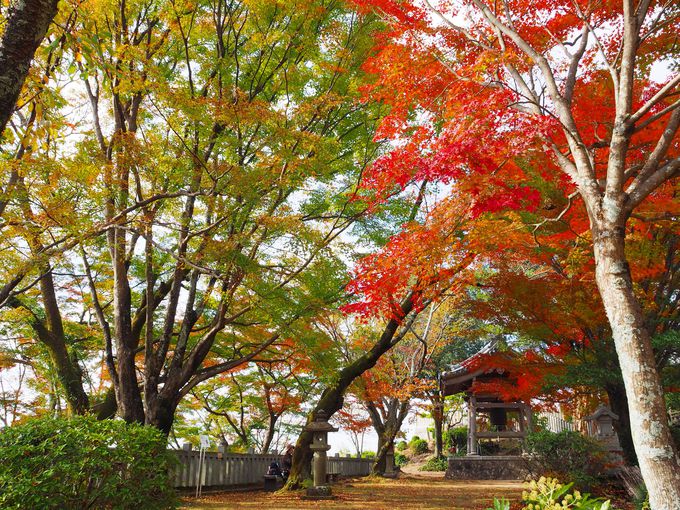 �������E�{���̌��ǂ���ƍg�t