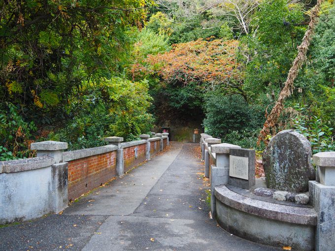 �Y��i���񂽂��j�����Ȃ�30���I