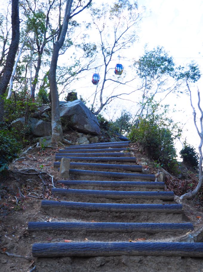 ���[�v�E�F�C�ڐ��Ƌ󒆊��o���y���߂�n�C�L���O