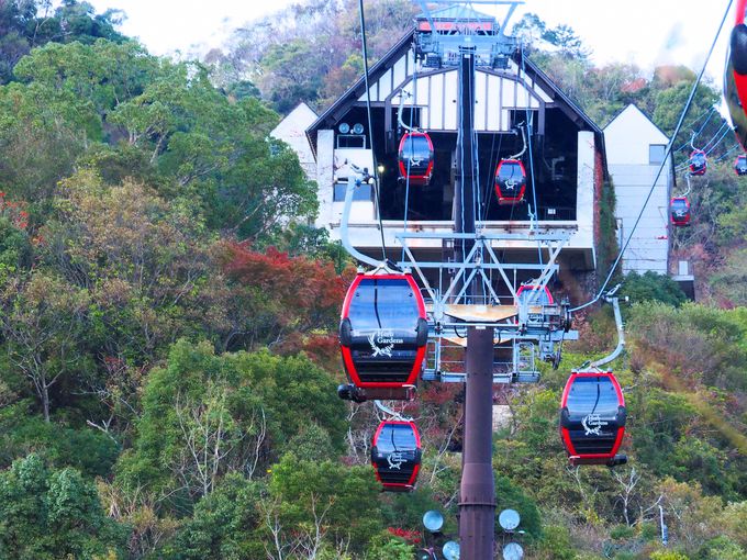 ���[�v�E�F�C�ڐ��Ƌ󒆊��o���y���߂�n�C�L���O