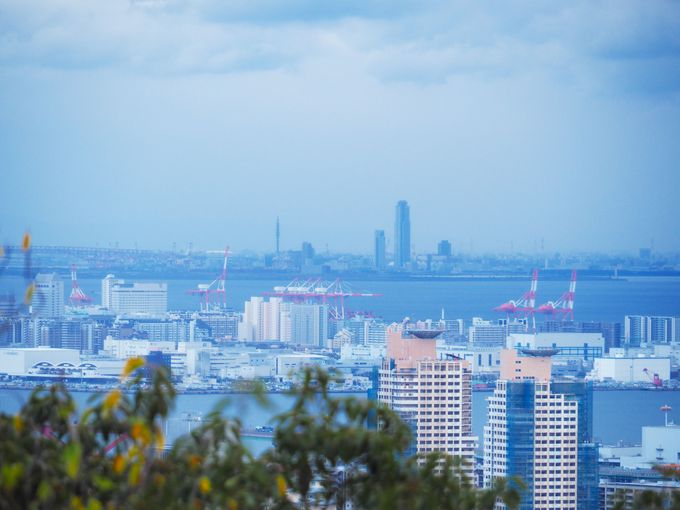 ���p��]�́u�����炵�W�]��v�ň�x�݂��A�u���̂����狴�v��