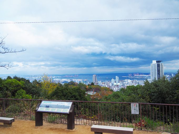 ���p��]�́u�����炵�W�]��v�ň�x�݂��A�u���̂����狴�v��