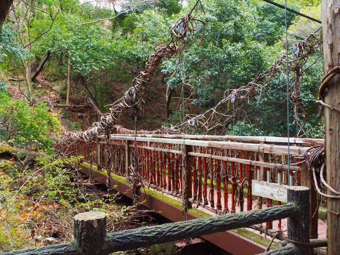 ���p��]�́u�����炵�W�]��v�ň�x�݂��A�u���̂����狴�v��