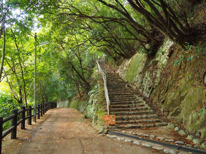 �Y��i���񂽂��j�����Ȃ�30���I