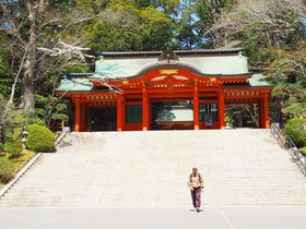 東国三社・千葉「香取神宮」を歩こう！里山と季節の風景も