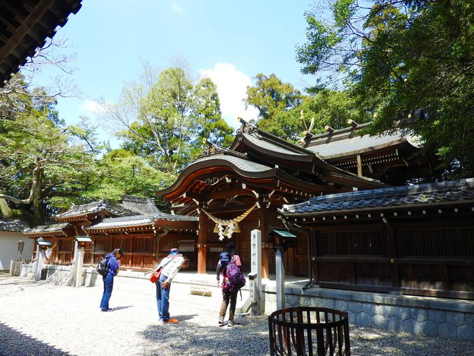 カニが神さまのお使い 常滑 尾張多賀神社は三代三神のパワースポット 愛知県 トラベルjp 旅行ガイド