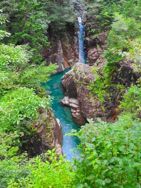 򕌌֎s̐YkJUIɂ̐AVN̑AI̋LTlC