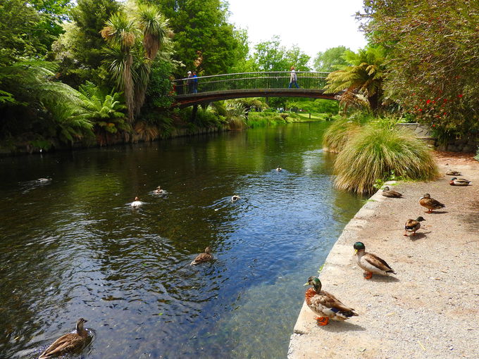 �����𒭂߂�Ȃ�A�f�b�L���r�N�g���A�Ύ��ӂ�