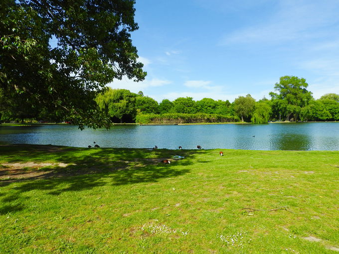 �����𒭂߂�Ȃ�A�f�b�L���r�N�g���A�Ύ��ӂ�