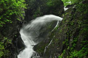 �r�b�N���ȉ������!?���u���܂̑�v�Ɉ����ɍs�����I�̋L���T���l�C��