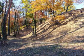 NHK̓h}w^cہxBePnARuV{Ձv낤̋LTlC