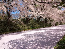 4�����{�������I�u�O�O������܂�v�͊O�����������߂̋L���T���l�C��