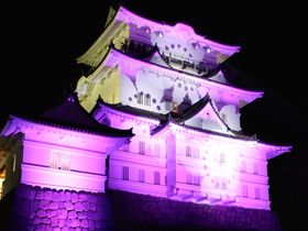 相性で作り出す光のマジックって？「小田原城」冬桜のファンタジー