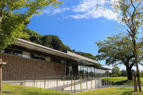 muꂫ邱܂v͐DcMzqRwׂق̋LTlC