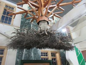 �܂�Ń��s���^�̃����V�[���I�X�s�X�є����ق��ʔ����I�̋L���T���l�C��