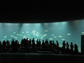 ɒIuՊCvVX|bgTI̋LTlC