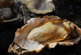 ����g�J�L�ĊC���h�ŊC�NBBQ���I�L���C���݃X�|�b�g�T�I�̋L���T���l�C��