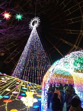 �h�C�c���ƃ}�U�[�q��ǂ����s���H��t�C���~�O���r�K�C�h�̋L���T���l�C��