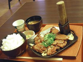 �V������������PA�u���B�X������v�O�������p�@�I�̋L���T���l�C��