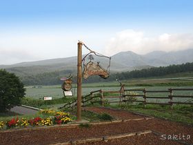 Lx`[̕IQnE܂pm}CŃLxcɕ܂悤̋LTlC