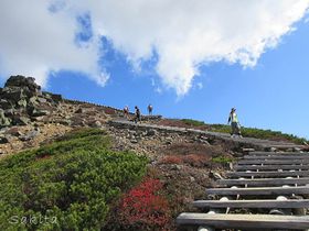 �u���I��֏���K�i�E���Áu�{�����R�v��30���œo�����{�S���R�I�̋L���T���l�C��