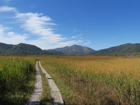 ���������Ɣ��������Ăǂ��Ⴄ�H���A��\�Ȕ͈͂Ɠo�R���̋L���T���l�C��