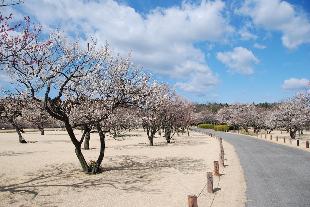 [̔~т͂Rucߖ~сvúX~сvuwy~сv