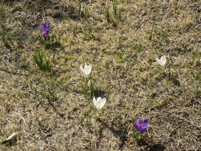 [̔~т͕ɓĊJI؂ႢI