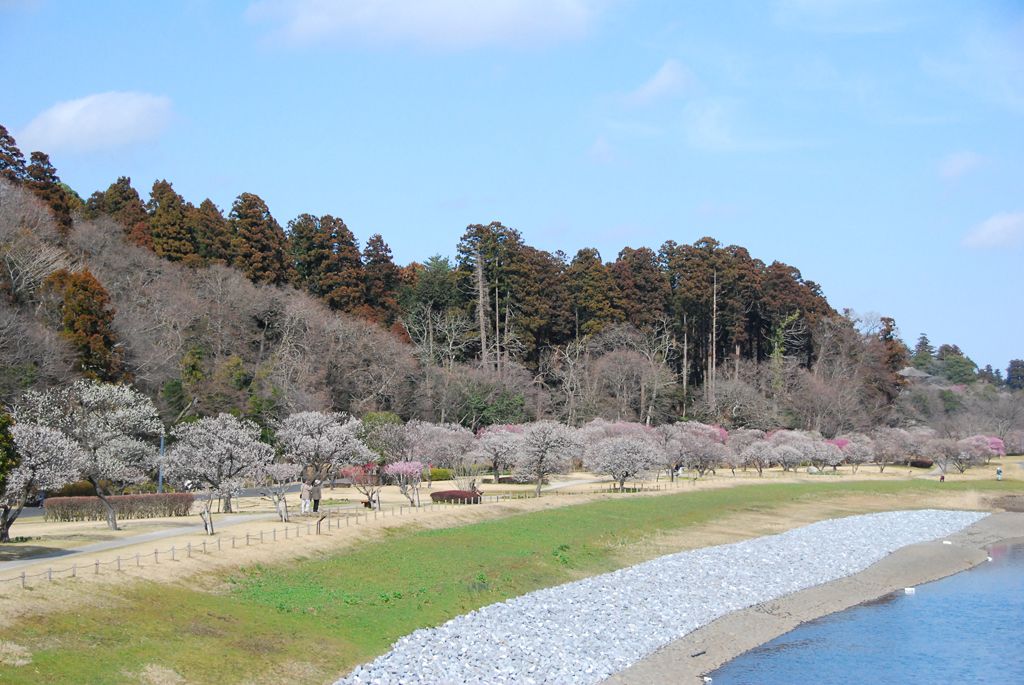 [̔~т͂Rucߖ~сvúX~сvuwy~сv