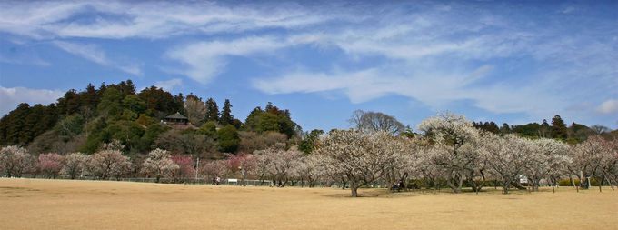 [̔~тyނɂ͍Rԏꂪ߁I