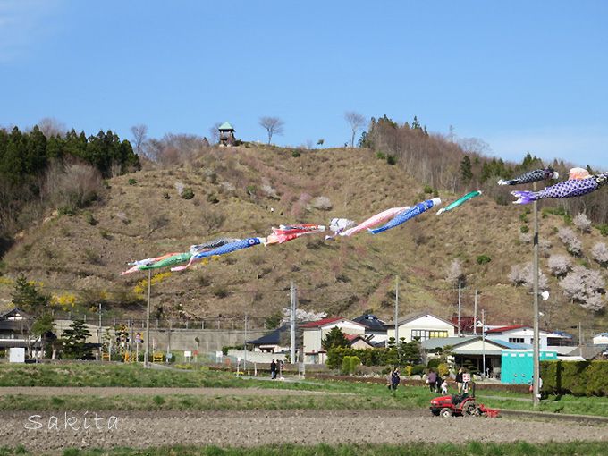 桜並木が両岸5キロ 福島 夏井千本桜は4月中 下旬が見頃 福島県 トラベルjp 旅行ガイド