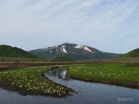 ̂ߊόX|bg8I R\ł|Cg͂I̋LTlC