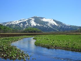 �����̐��m�ԃx�X�g�V���b�g�̓R�R�I�u���m��x�v�s�����K�C�h�̋L���T���l�C��