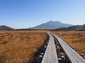 �����̋��F���g�t�͊������m�I�ؓ��n�C�L���O�Ńi�E�V�J�C���̋L���T���l�C��