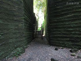 tER͒fRǂ̃rXIn̂ƃZbgŕK̋LTlC