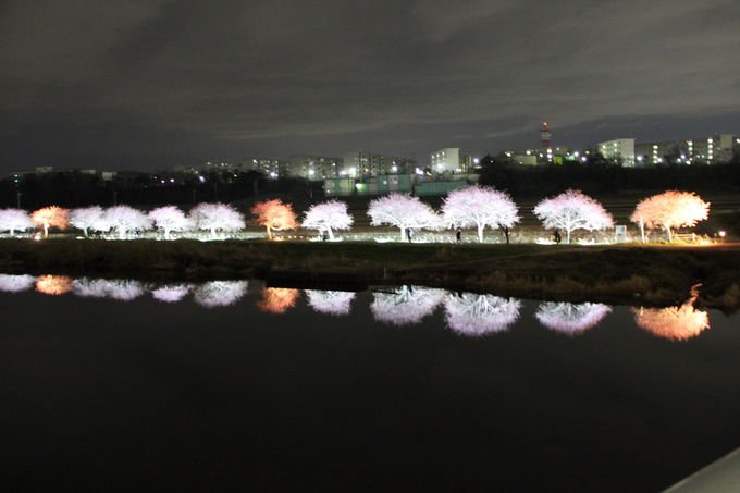 千葉で2 3月に河津桜が見たい おすすめの早咲き桜並木3選 千葉県 Lineトラベルjp 旅行ガイド