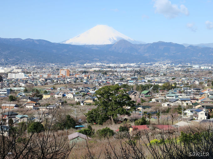 小田原市 関東の富士見百景 見晴台で曽我梅林と大パノラマを堪能 神奈川県 Lineトラベルjp 旅行ガイド