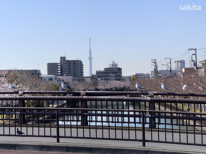 �]�ˏ�������l�����E�L�ꋴ�ɒ���