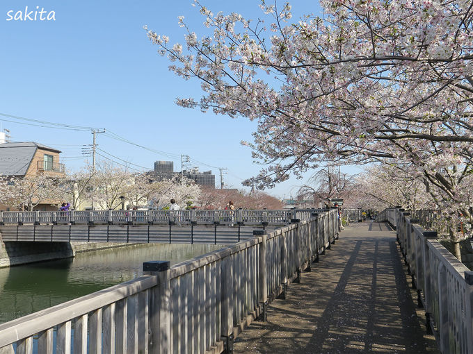 �]�ˏ�������l�����E�L�ꋴ�ɒ���