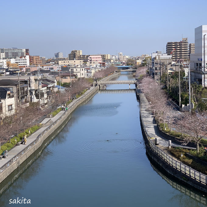 ���j����V�삪��{���Ƃ��ĐV������