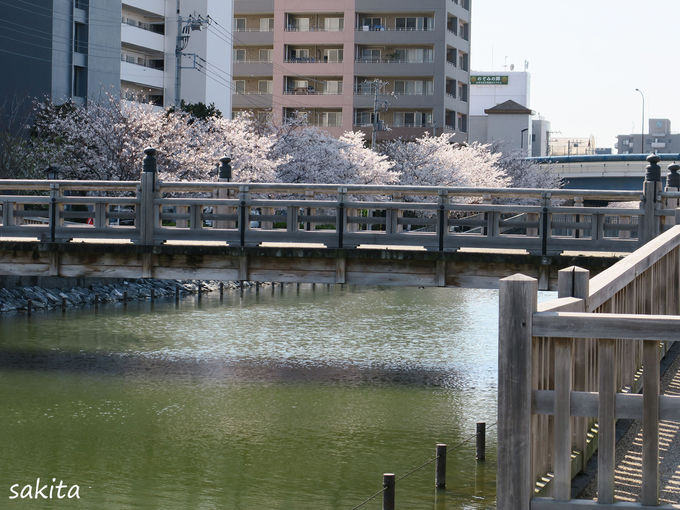 �]�ˏ�������l�����E�L�ꋴ�ɒ���