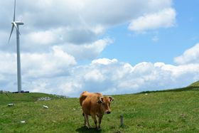 �܂�Ń��s���^�̂悤�I�V��̑�n�u�l���J���X�g�v�̋L���T���l�C��